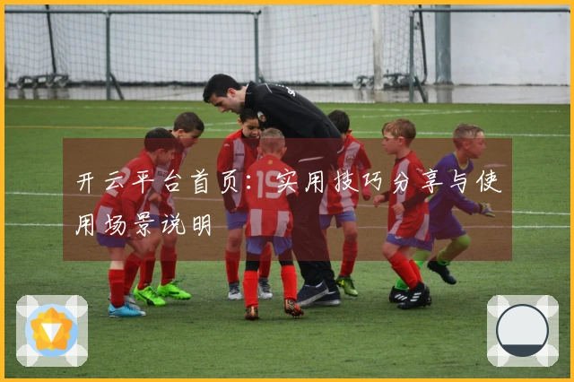 开云平台首页:实用技巧分享与使用场景说明